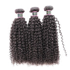 Kinky Curly Virgin Human Hair 3 Bundles With 4x4 Lace Closure