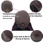 Straight Lace Closure Wigs 4x4 Closure Wig Glueless Human Hair Wigs Pre Plucked With Baby Hair Remy