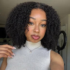 HairHive Afro Curly Glueless 9x6 T Part Lace Wear Go Wig Pre-Bleached Tiny Knots Natural Frontal Look