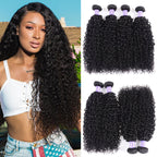 Hive Hair Malaysian 4 Curly Hair Bundles Weaves-New Remy Human Hair Bundles