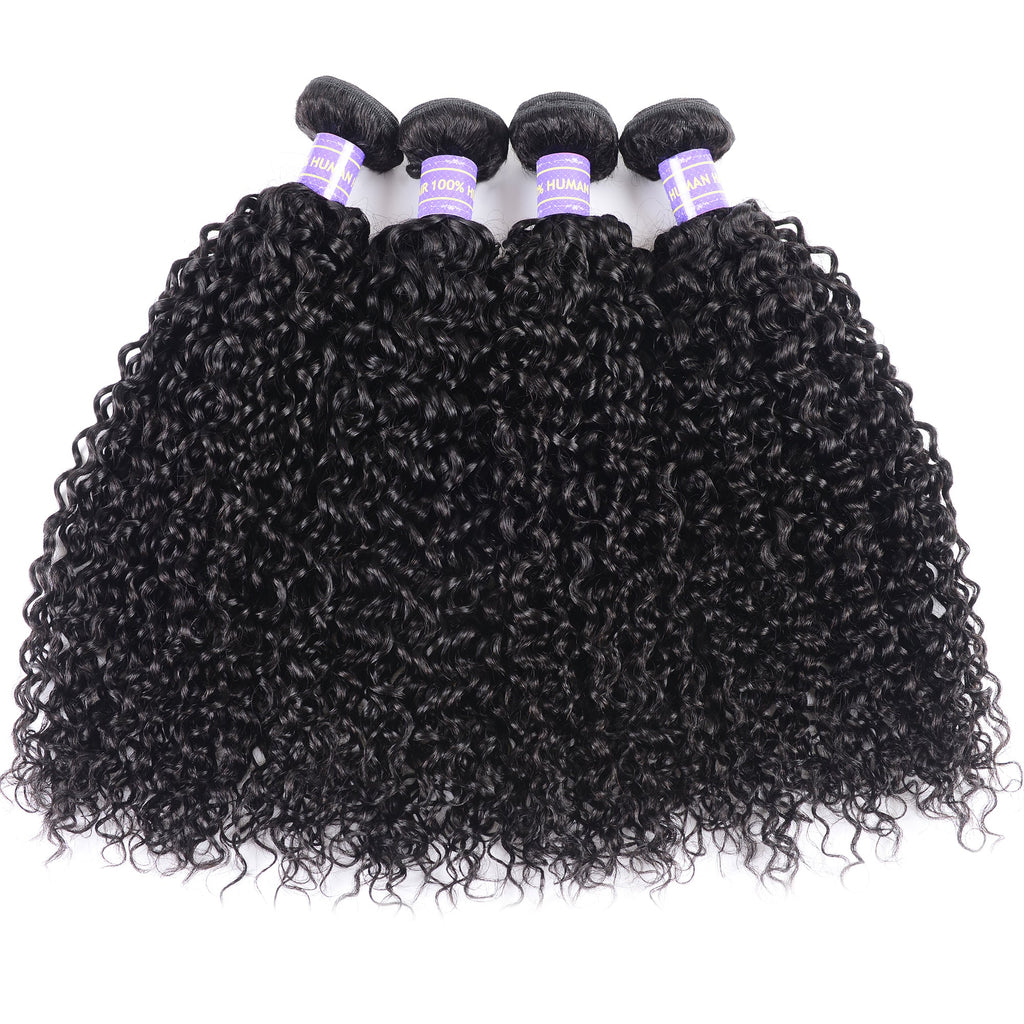 Hive Hair Malaysian 4 Curly Hair Bundles Weaves-New Remy Human Hair Bundles